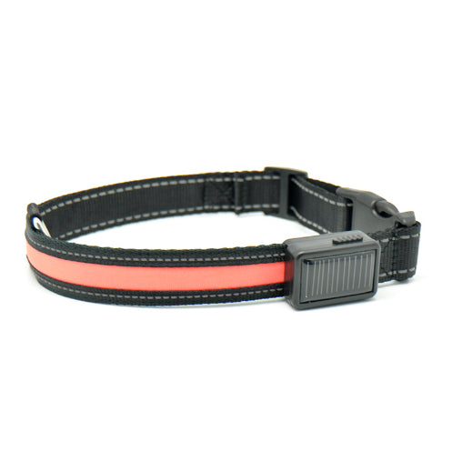 Fluorescent Dog Safety Collar