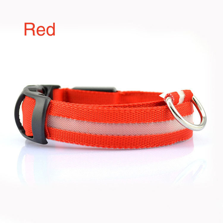 Dog LED Safety Collar