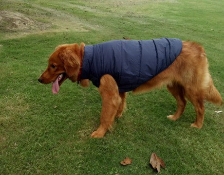 Waterproof outdoor pet supplies