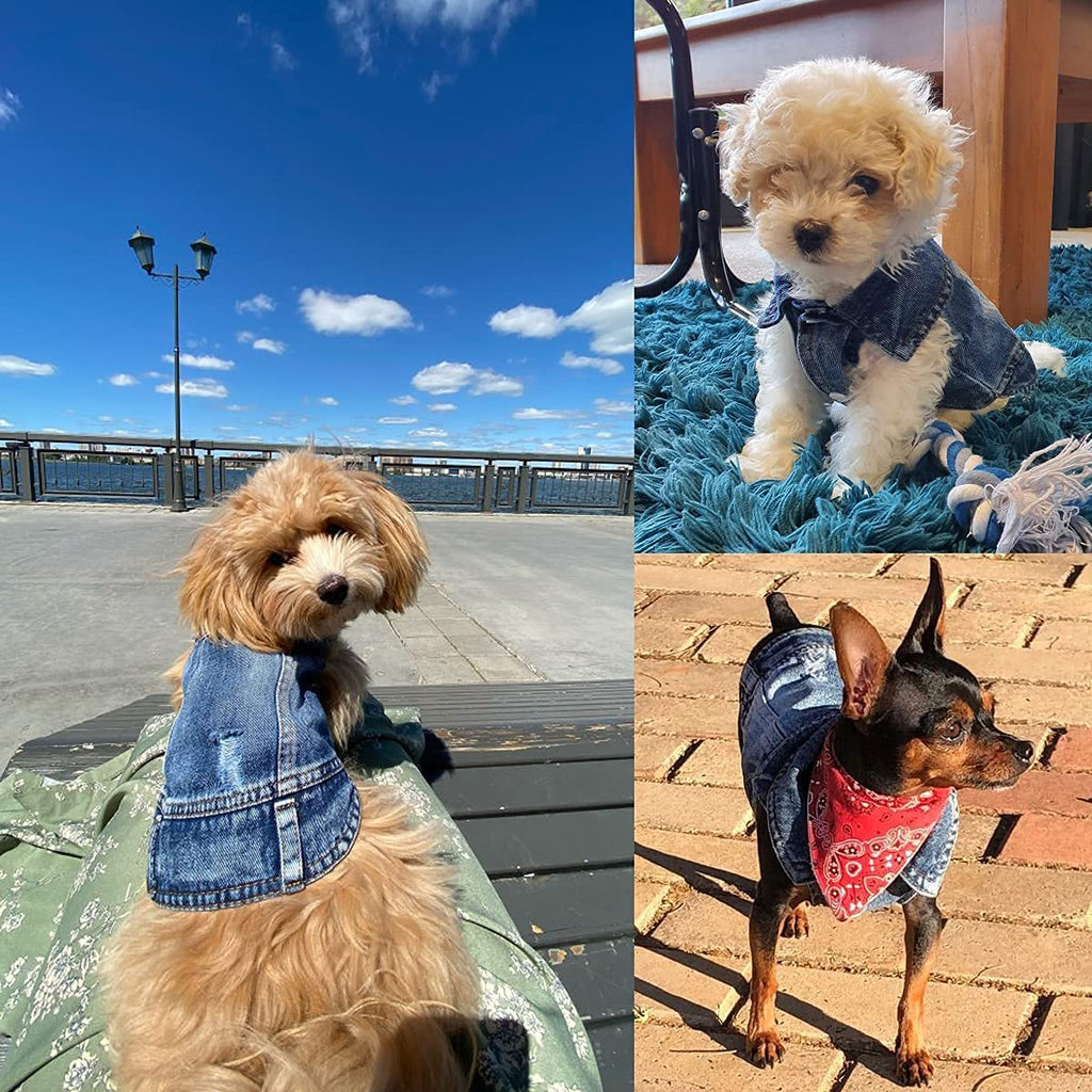 Blue Denim Jeans Jacket Pet Coat Vest
