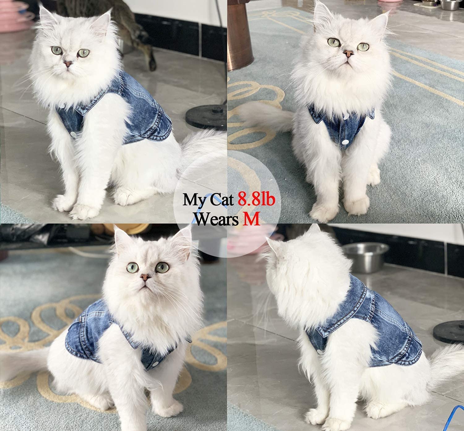 Blue Denim Jeans Jacket Pet Coat Vest