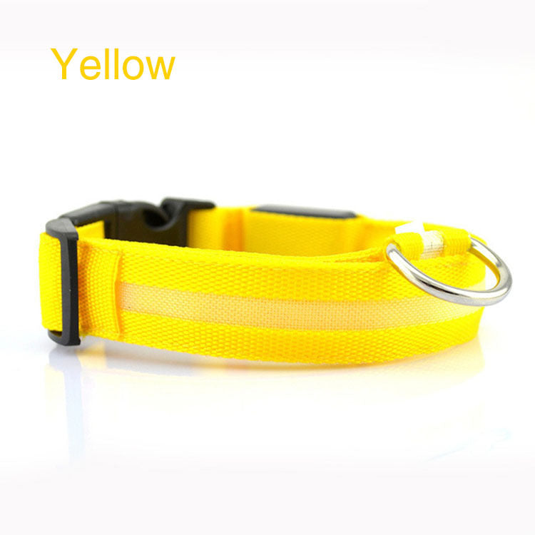 Dog LED Safety Collar
