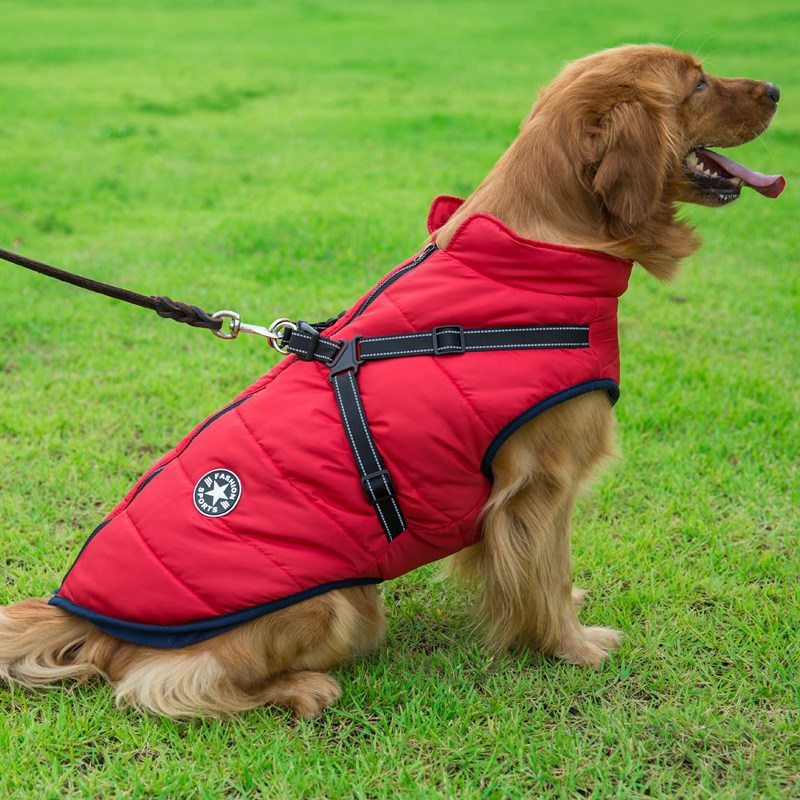 Winter Warm Dog Hooded Coat