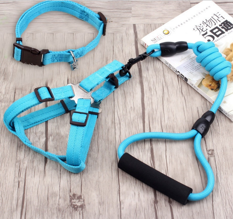 Dog Collar & Harness Rope