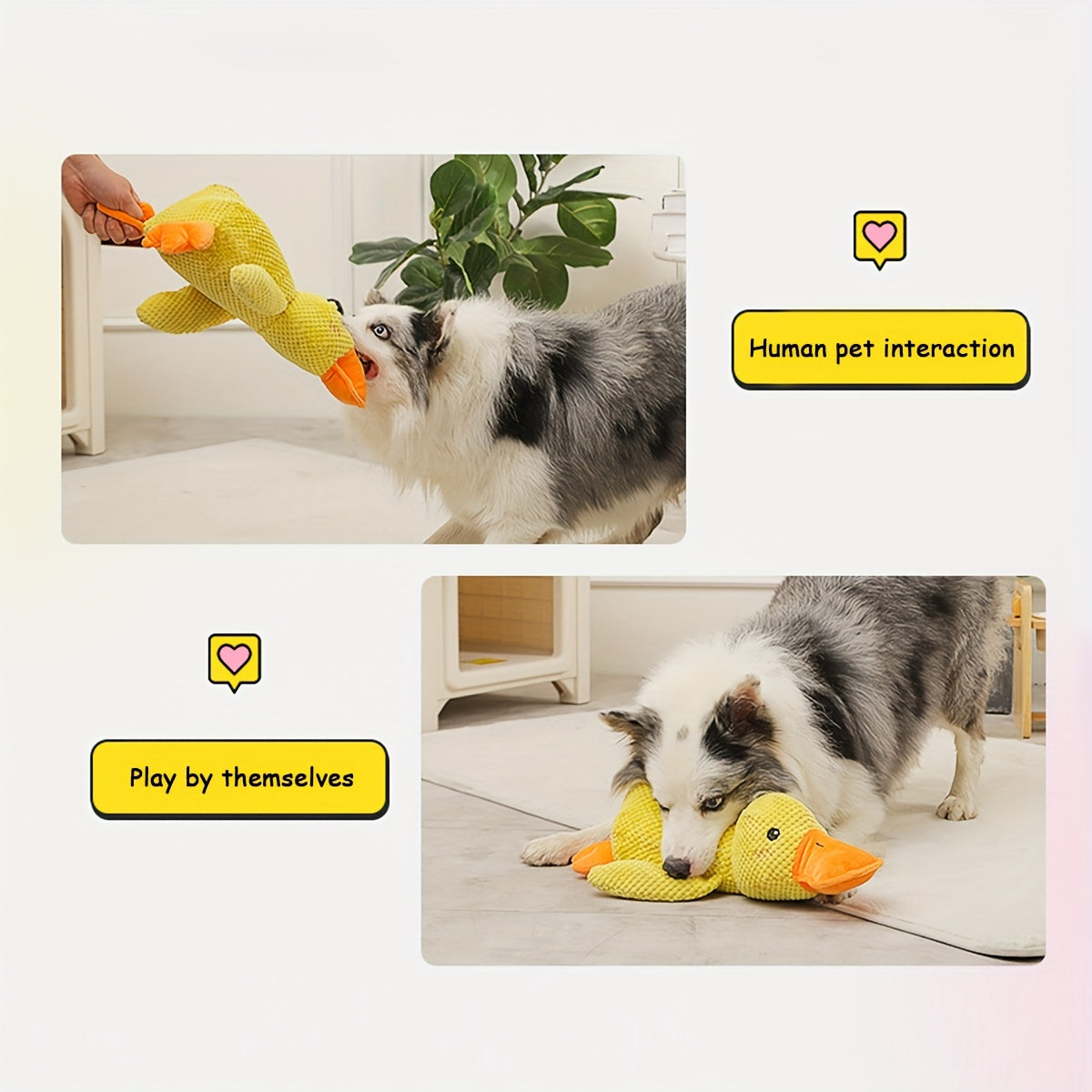 Best Pet Dog Toys For Small Medium And Large Breeds