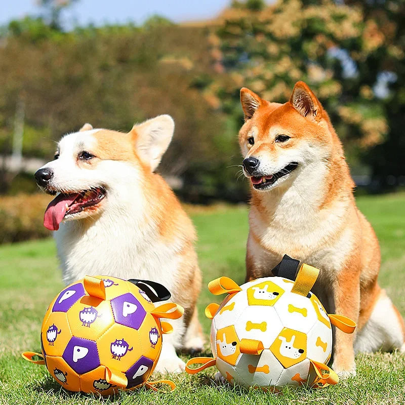 Interactive Football Toy
