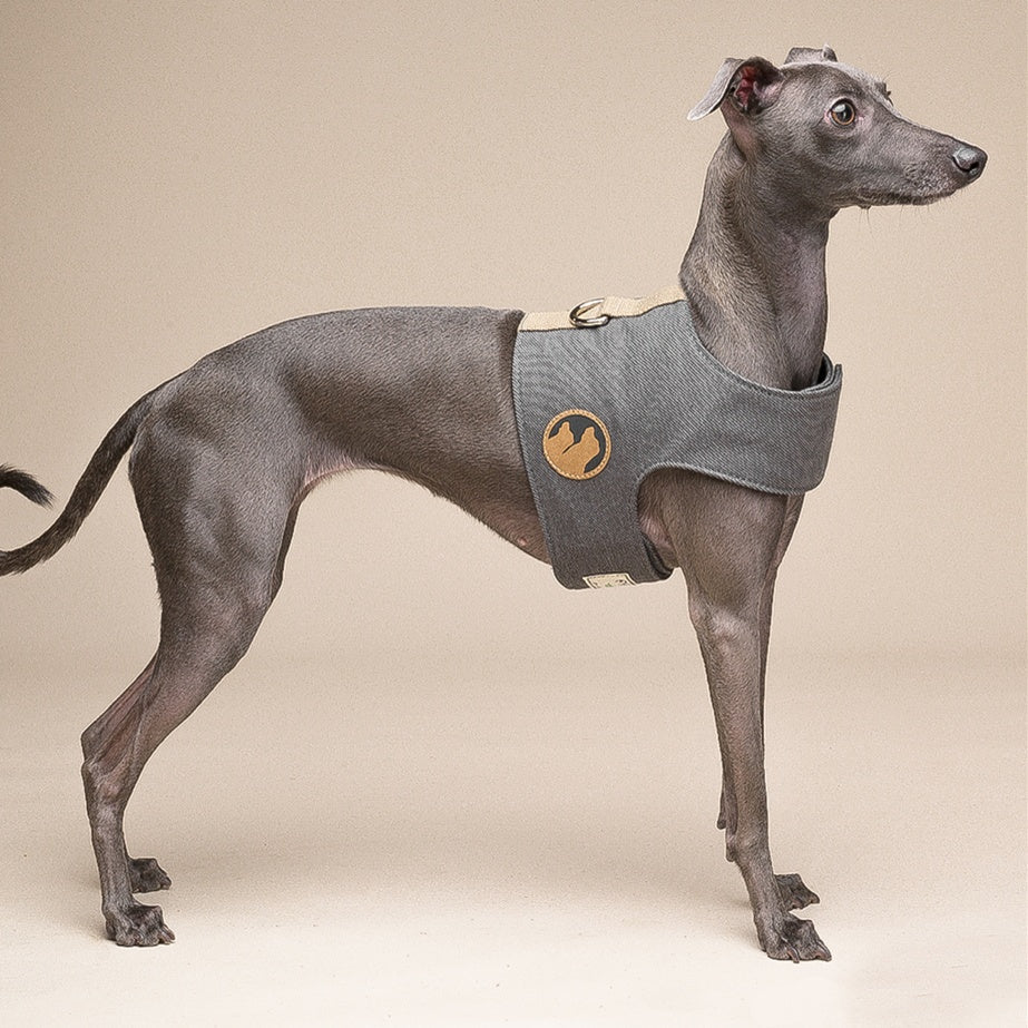 Dog Harness