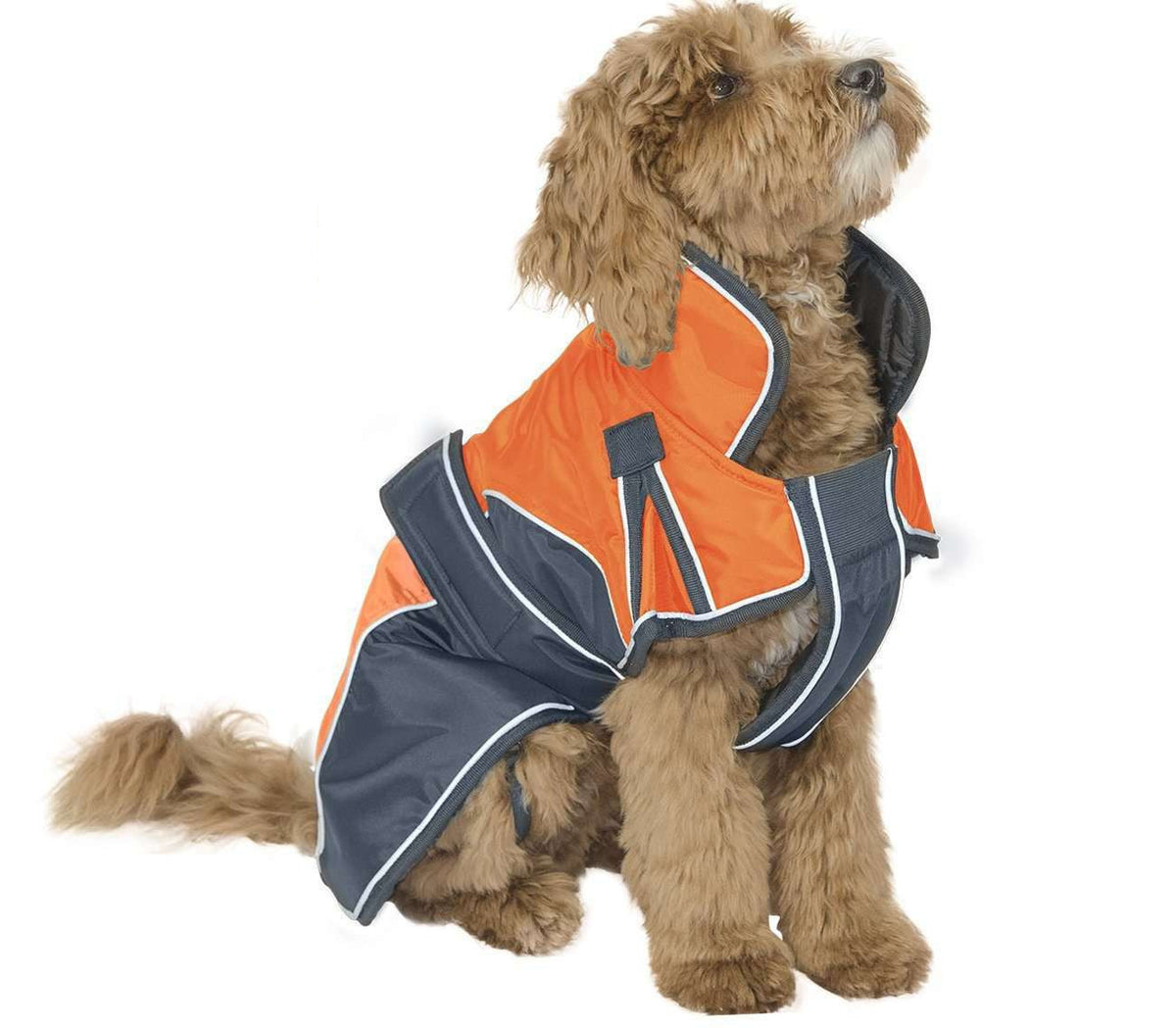 Waterproof Reflective Winter Dog Parka With Harness Opening Heavyweight 220g Polyfil