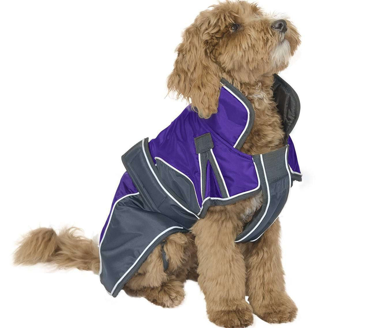 Waterproof Reflective Winter Dog Parka With Harness Opening Heavyweight 220g Polyfil