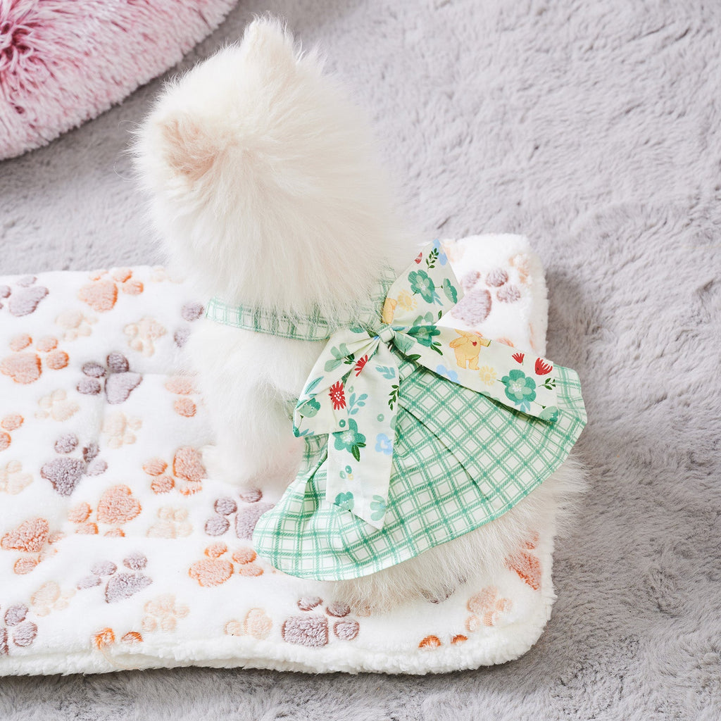 Summer Small Dog Clothes Pet Harness With Leash