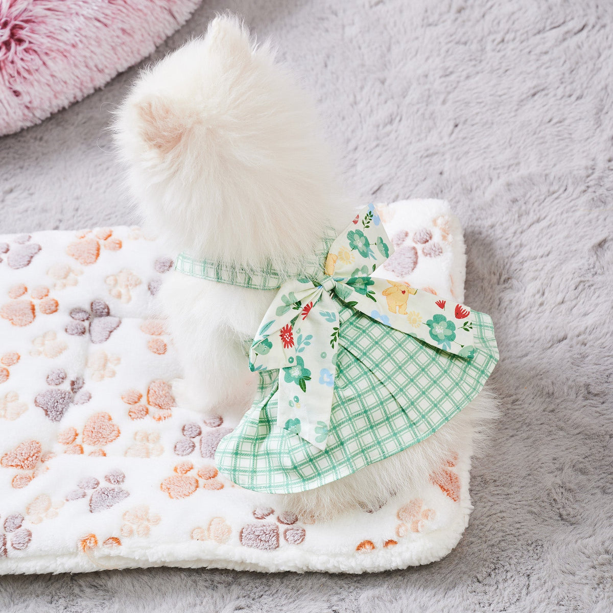 Summer Small Dog Clothes Pet Harness With Leash