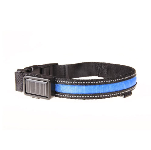 Fluorescent Safety Collar