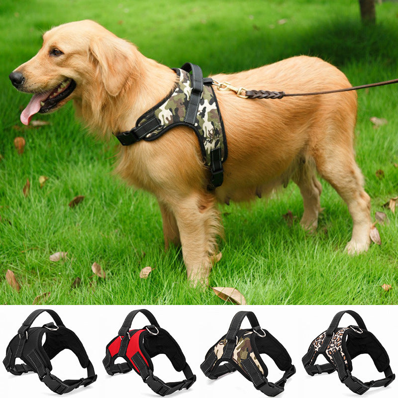 Medium and Large Dog Dog Collar