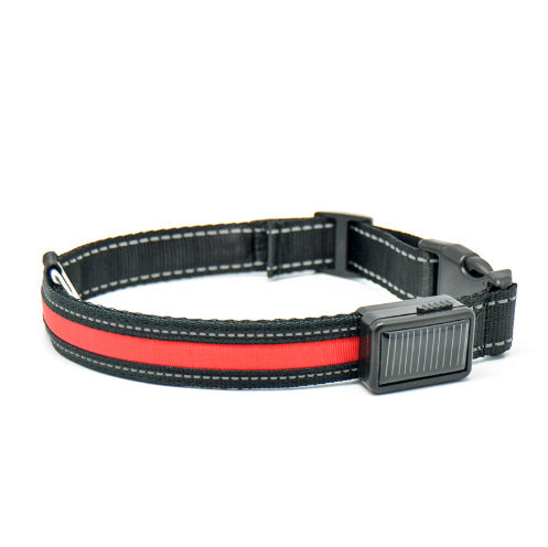 Fluorescent Dog Safety Collar