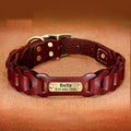 Braided Leather Medium Large Dog Collar