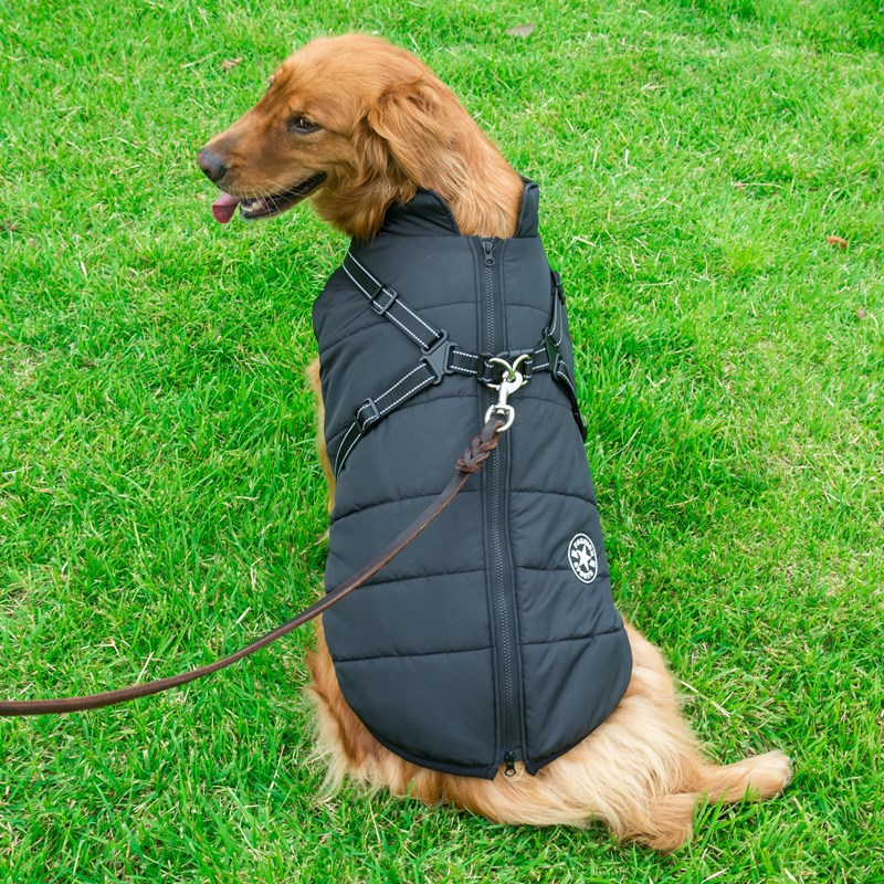 Winter Warm Dog Hooded Coat