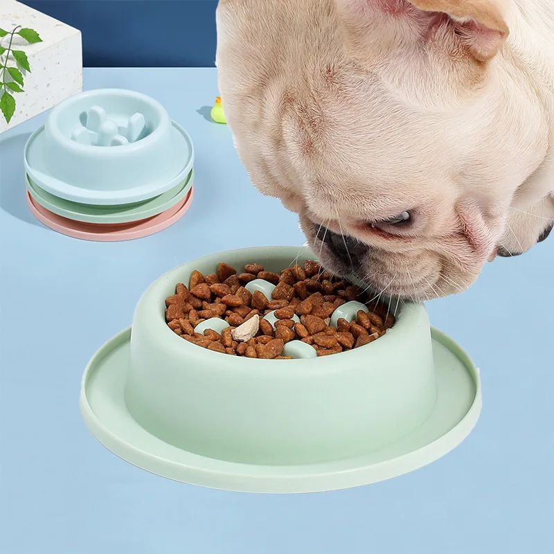 Slow Eating Feeder