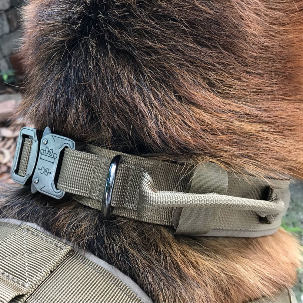 Tactical Dog collar