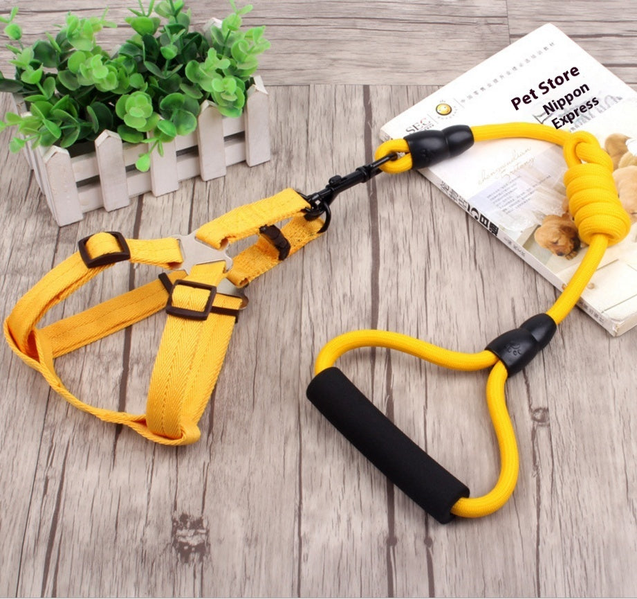 Dog Collar & Harness Rope