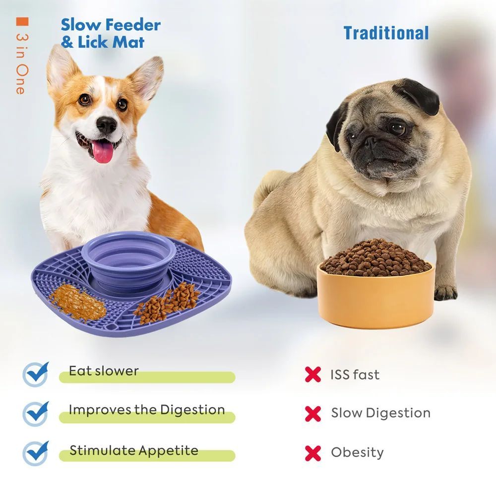Slow Feeder Bowl Non Slip Puzzle Bowl Anti-Gulping