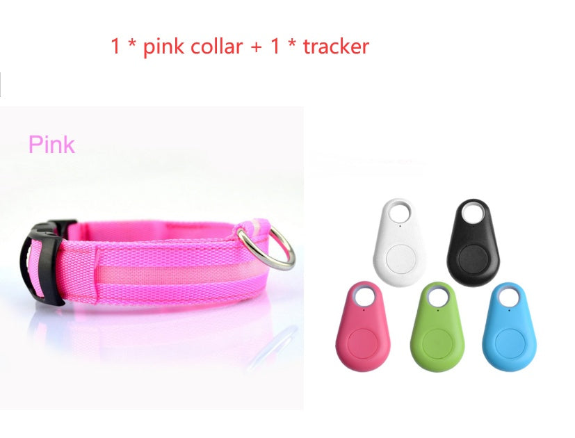 Dog LED Safety Collar