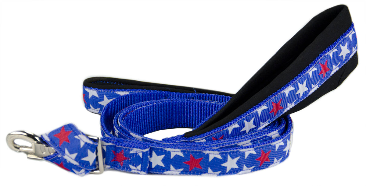 Padded Double Handle Patterned Dog Leash