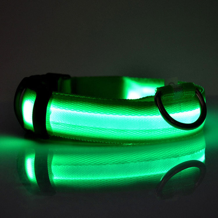 Dog LED Safety Collar