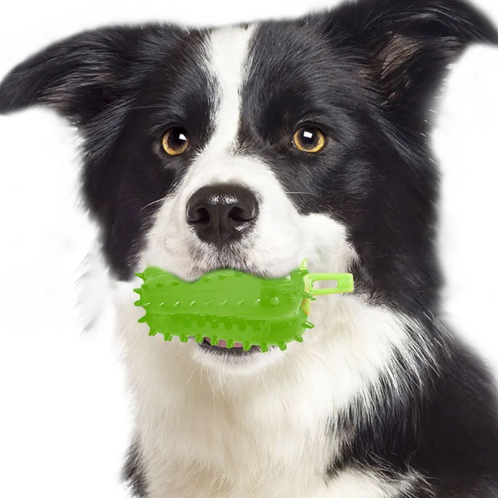 Dog Teething Chili Chewers Toy