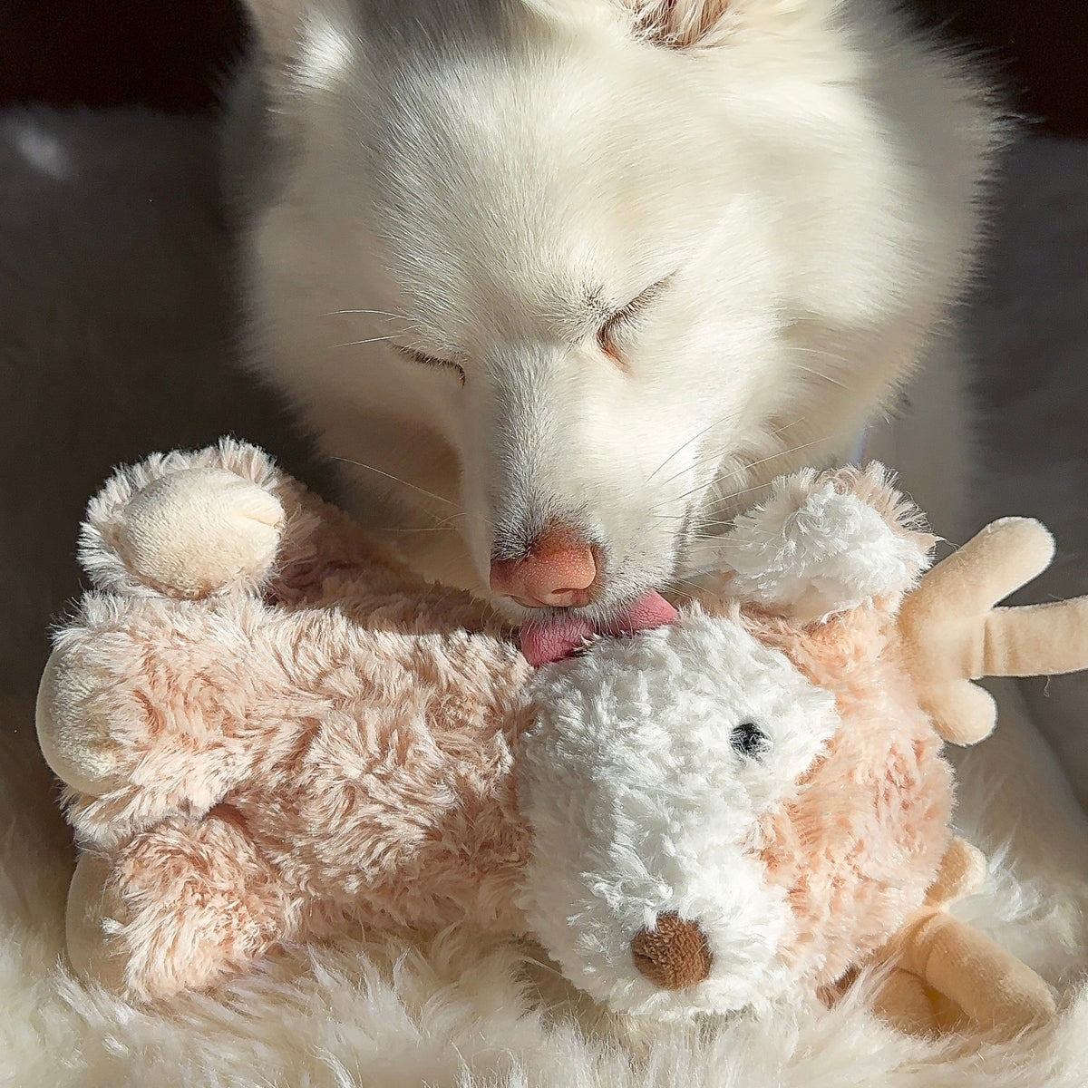 Fur Elise Vixi Plush Toy