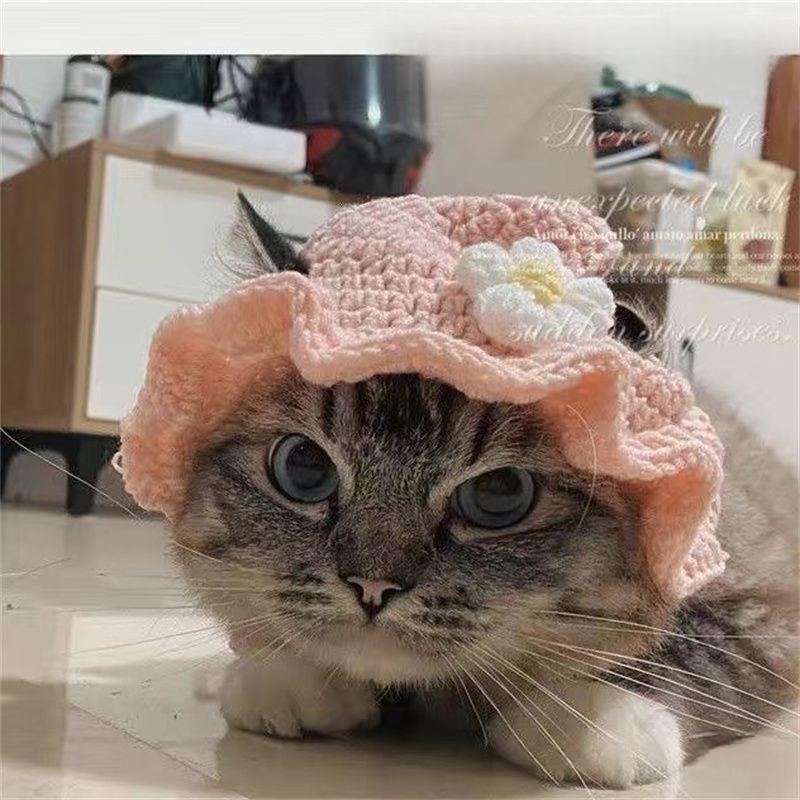 Pet Hat Cute 3D Knitted Wool Bonnet
