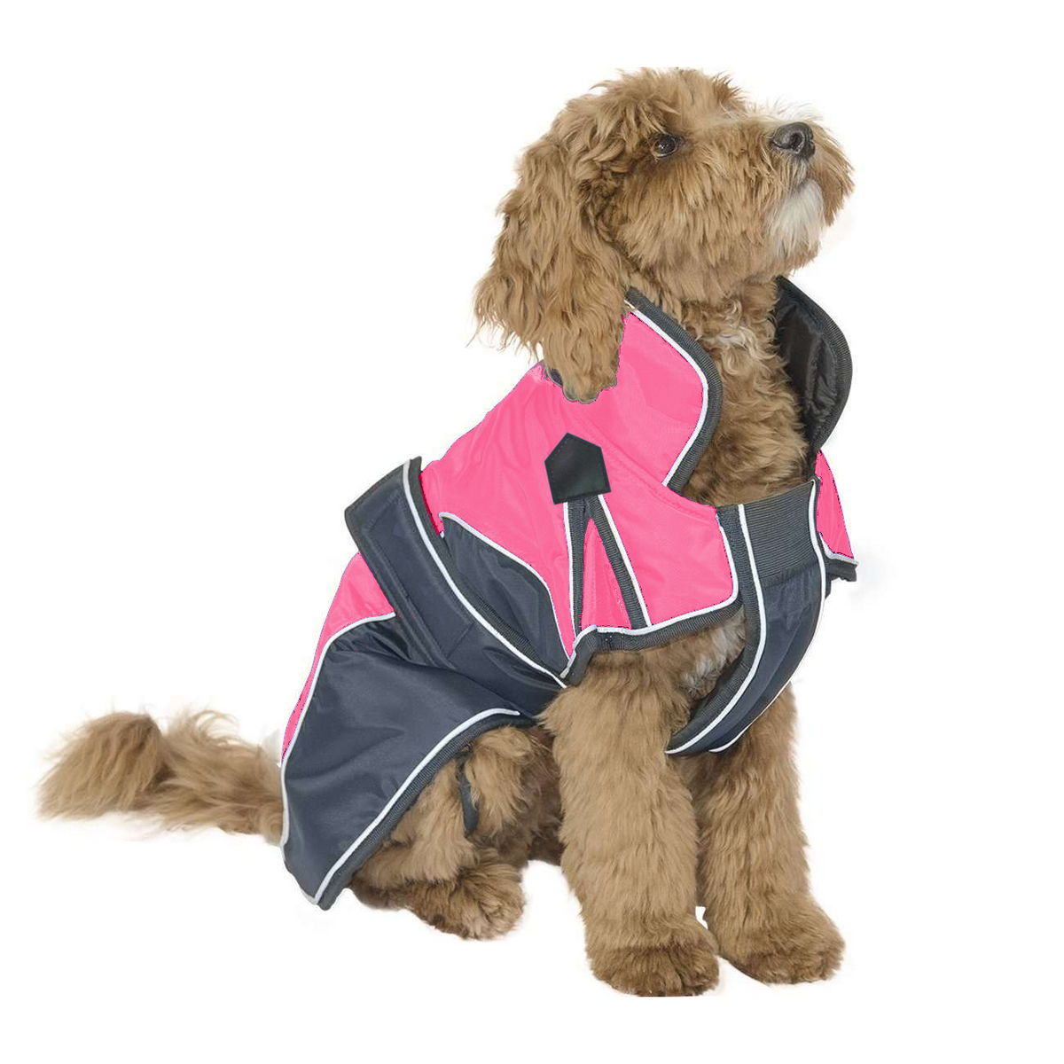 Waterproof Reflective Winter Dog Parka With Harness Opening Heavyweight 220g Polyfil