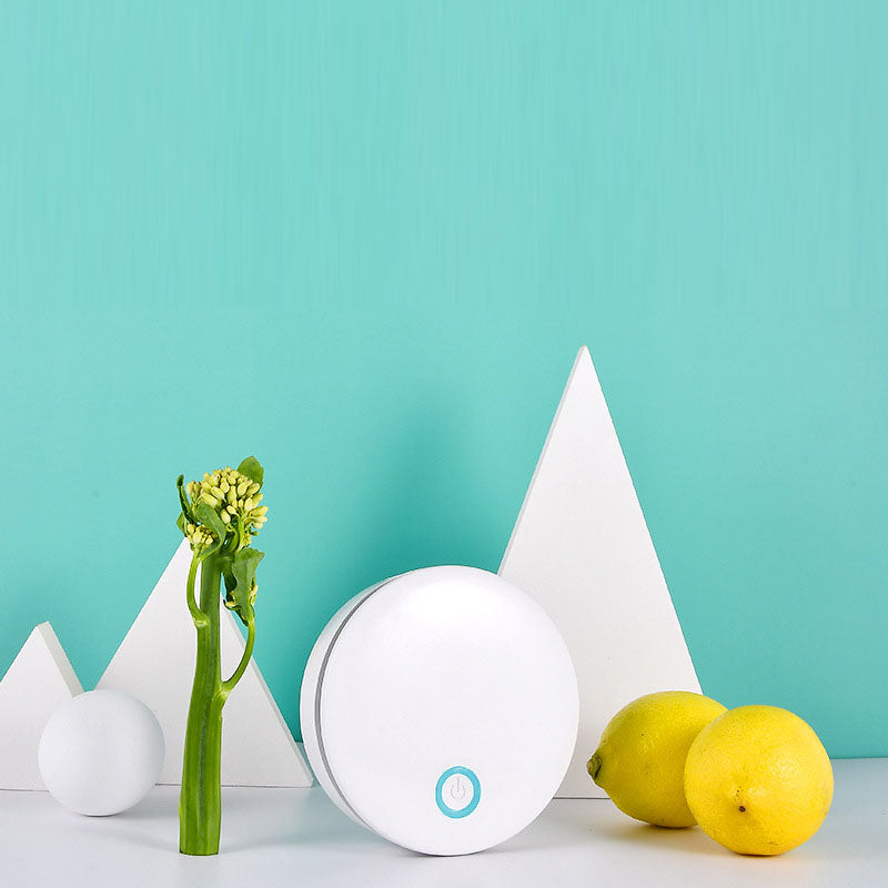 Pet deodorizer intelligent second-generation