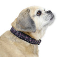 Padded Adjustable Patterned Dog Collar