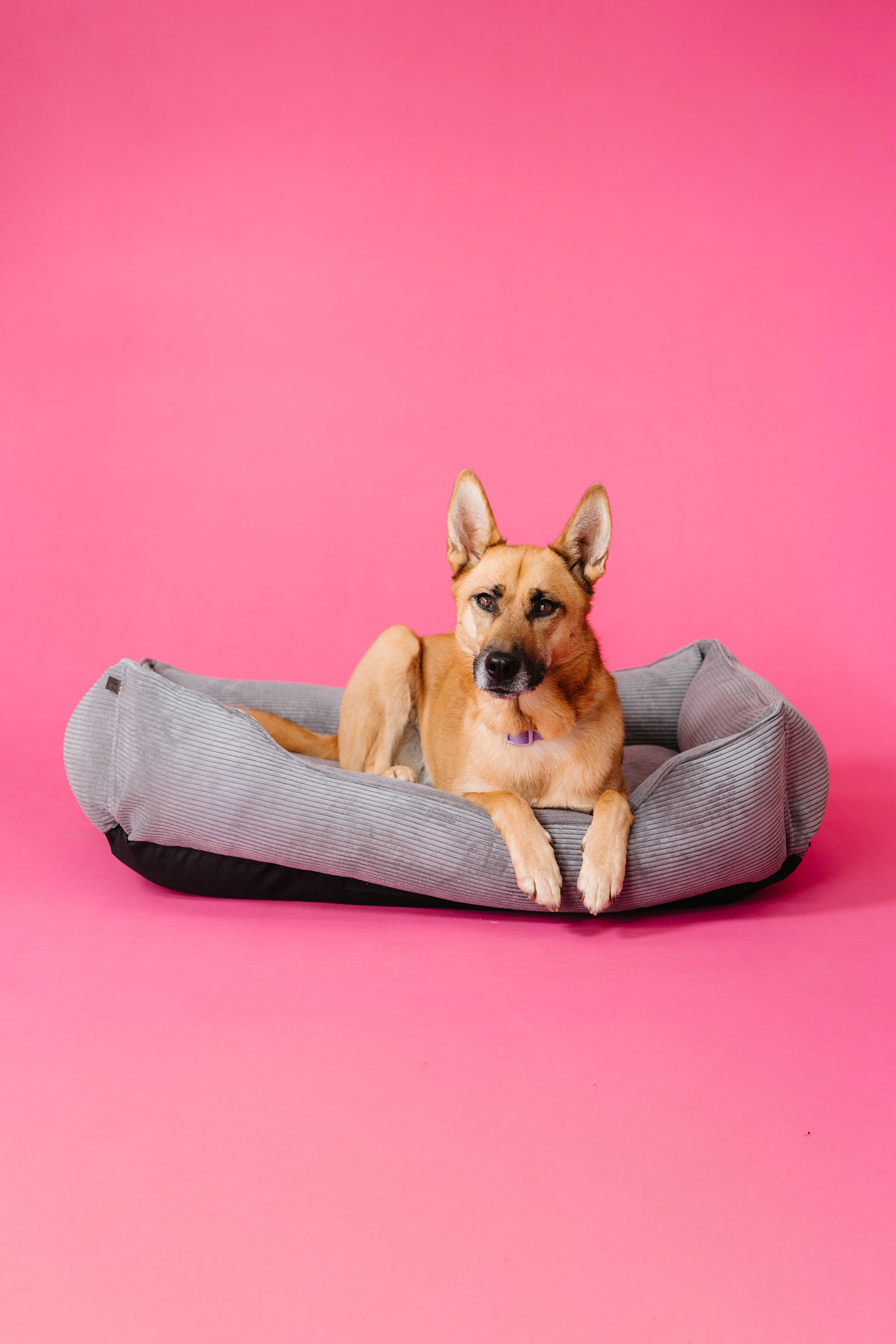 Chester & Lee | Fancy Corduroy Sleeper Dog Bed