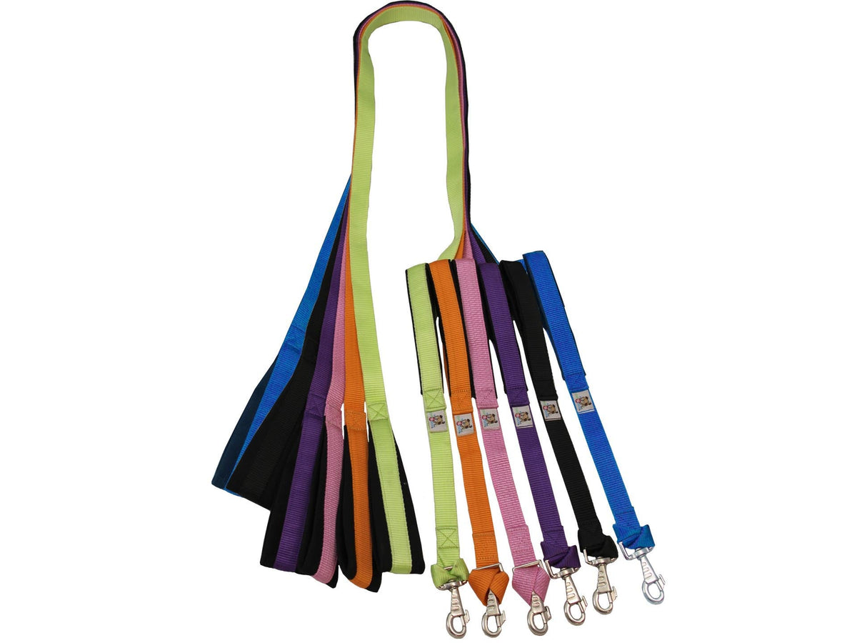 Padded Double Handle Dog Leash