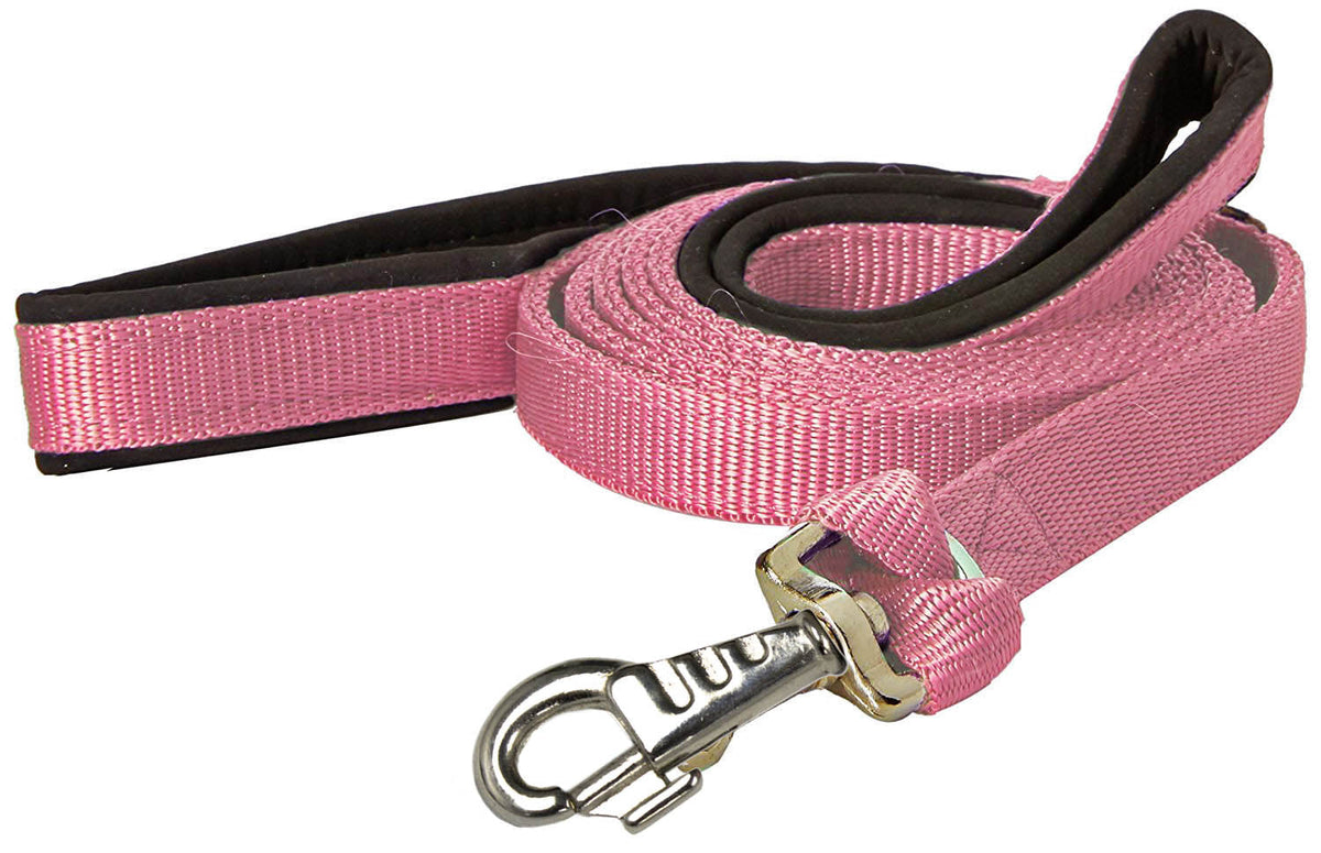 Padded Double Handle Dog Leash