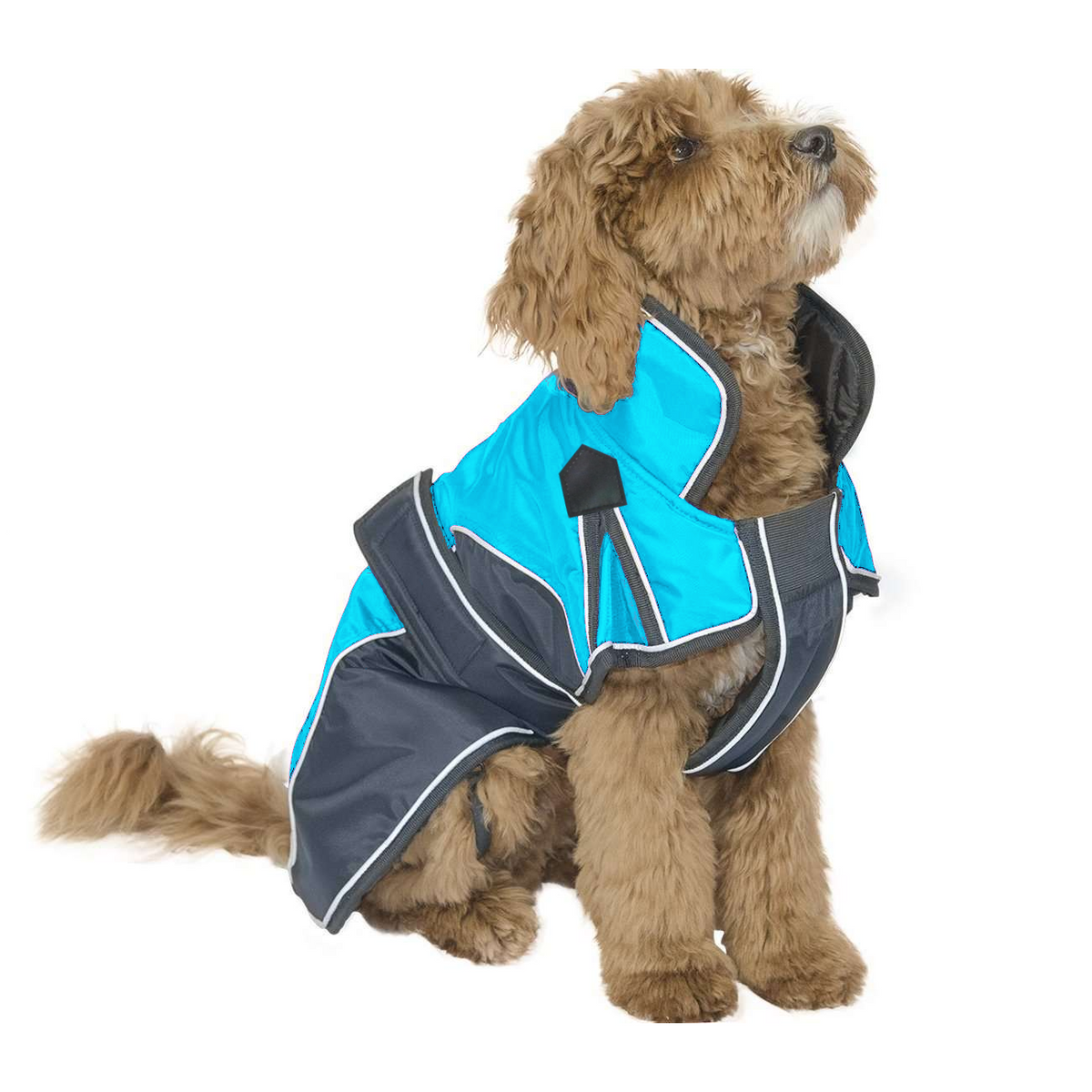 Waterproof Reflective Winter Dog Parka With Harness Opening Heavyweight 220g Polyfil
