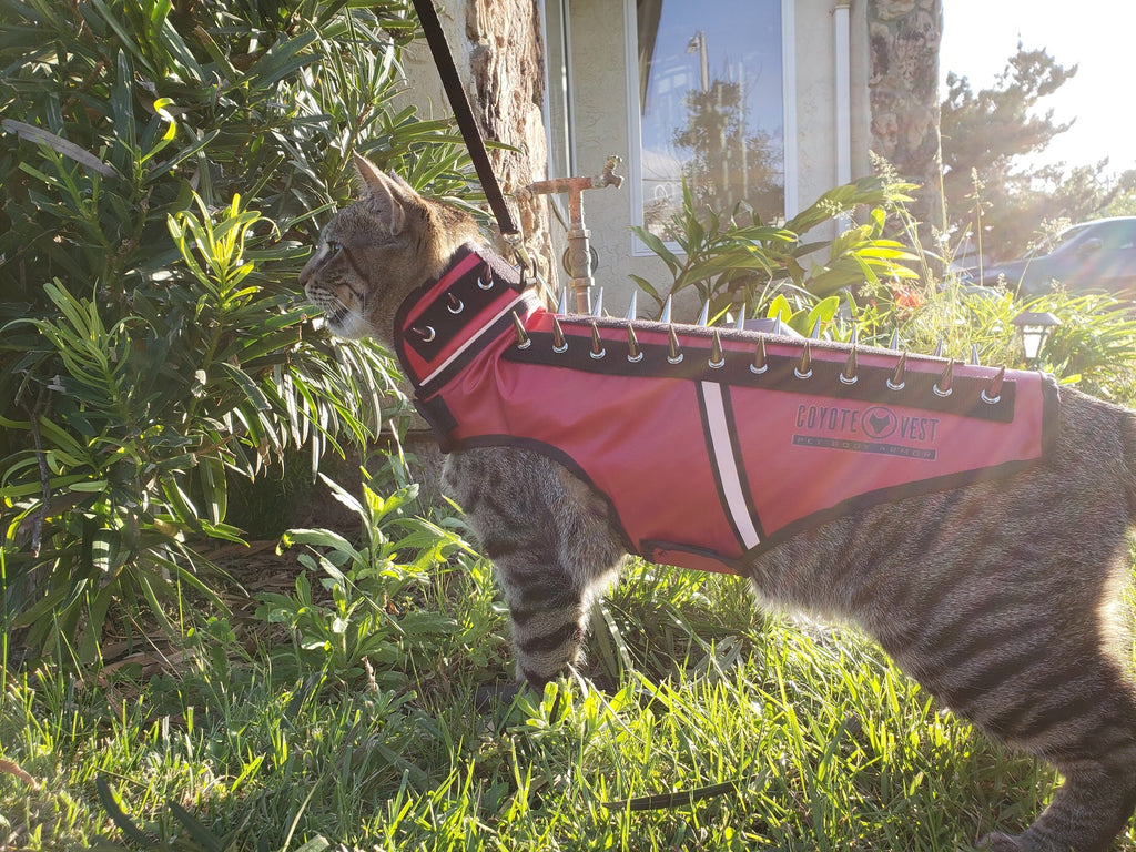 Coyote SpikeVest