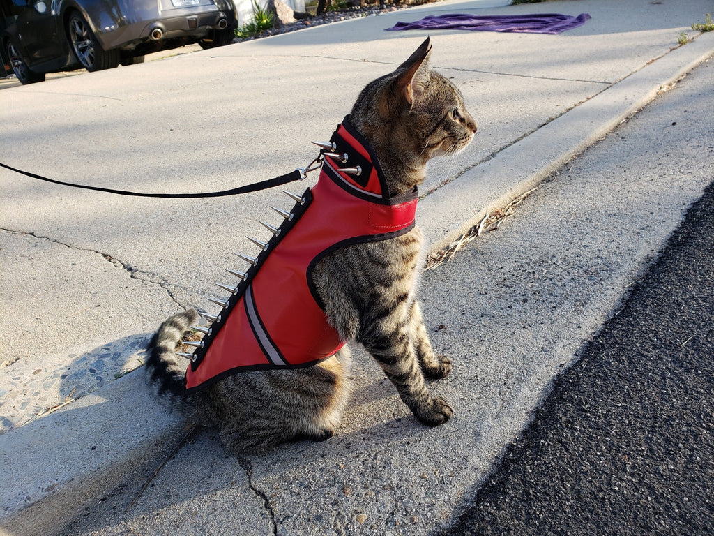Coyote SpikeVest