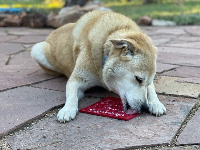 Enrichment Lick Mat for Dogs and Cats