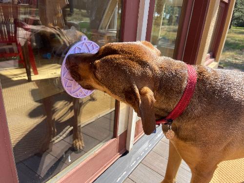 Enrichment Lick Mat For Dogs and Cats - With Suction Cups | USA Made