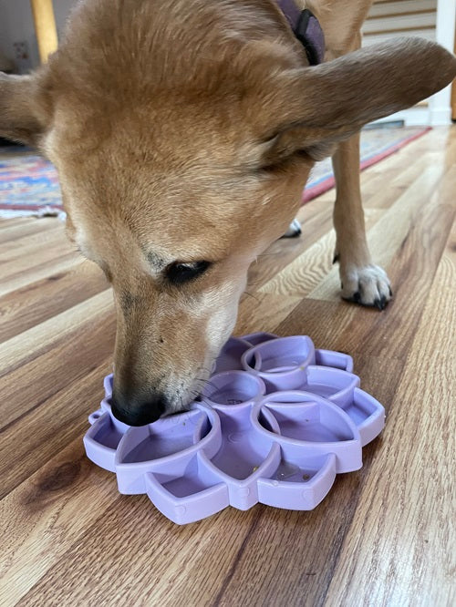 Mandala Slow Feeder Dog Bowl with Suction Cups