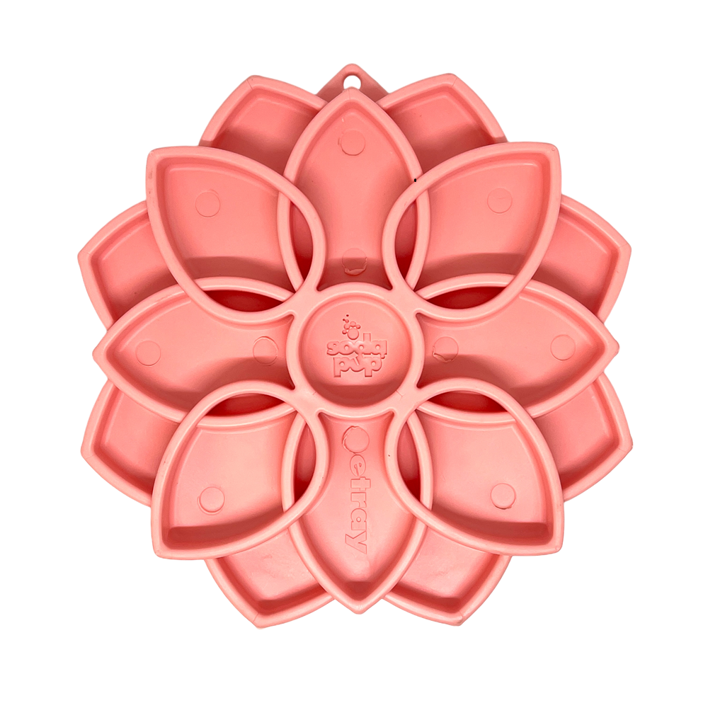 Mandala Slow Feeder Dog Bowl with Suction Cups