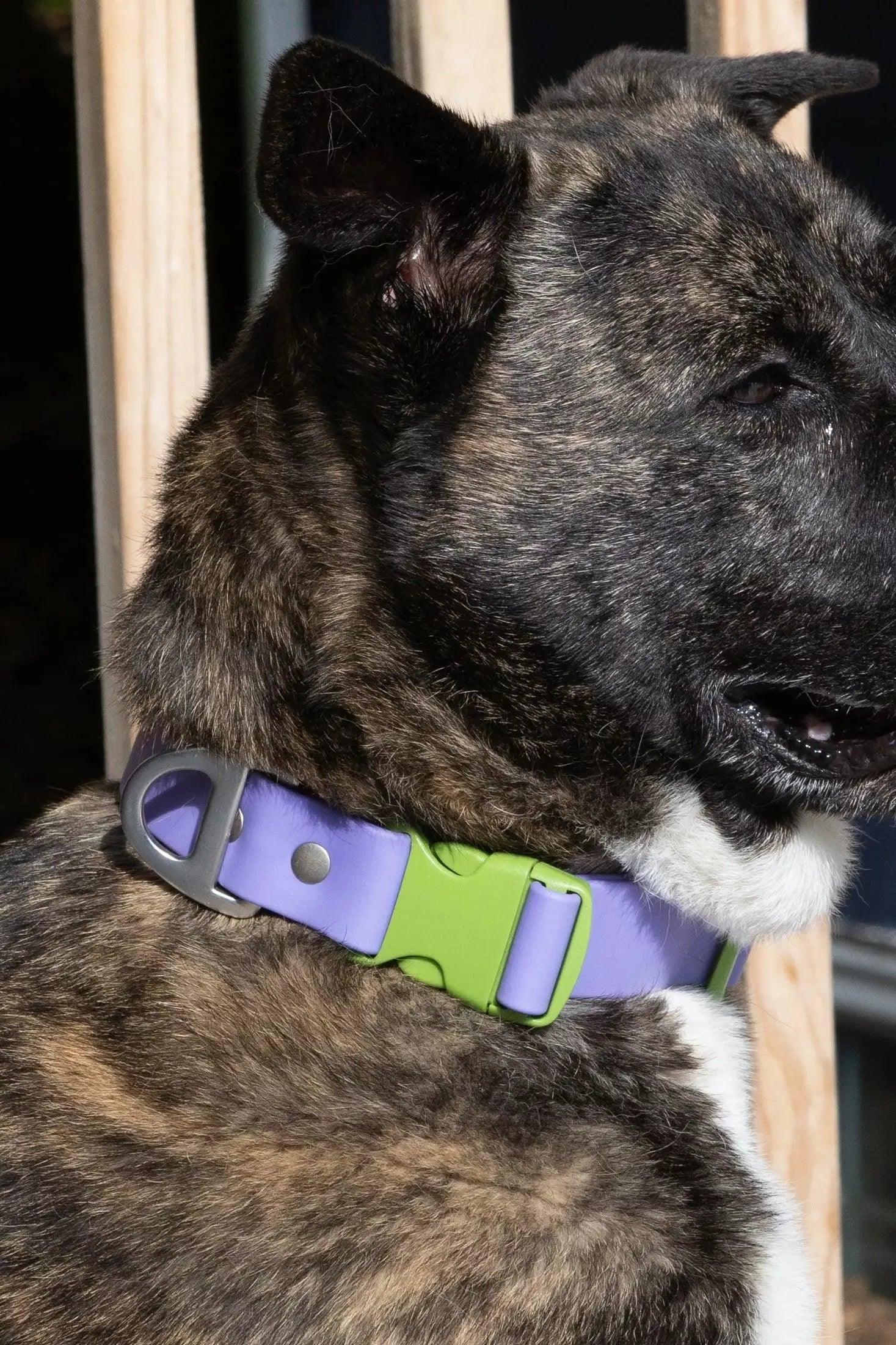 Waterproof Dog Collar
