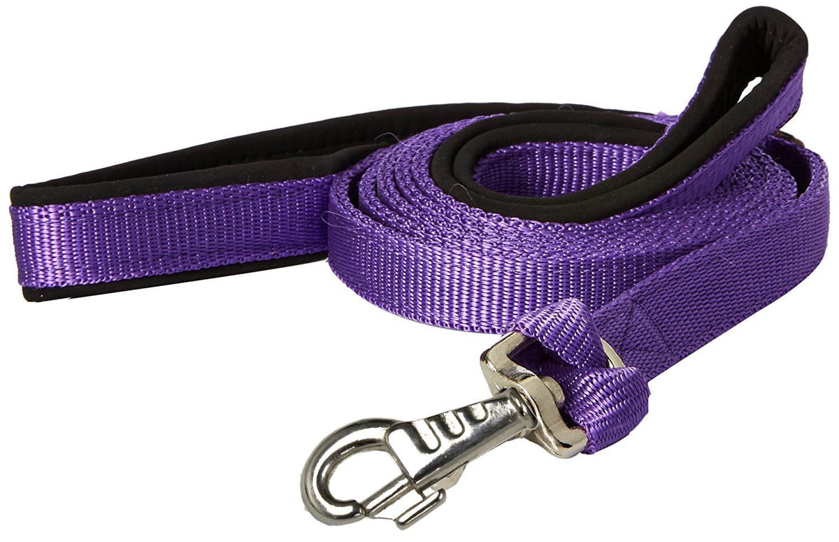 Padded Double Handle Dog Leash