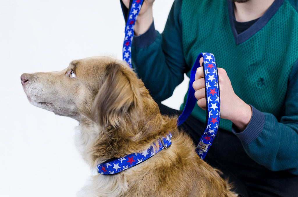 Padded Adjustable Patterned Dog Collar