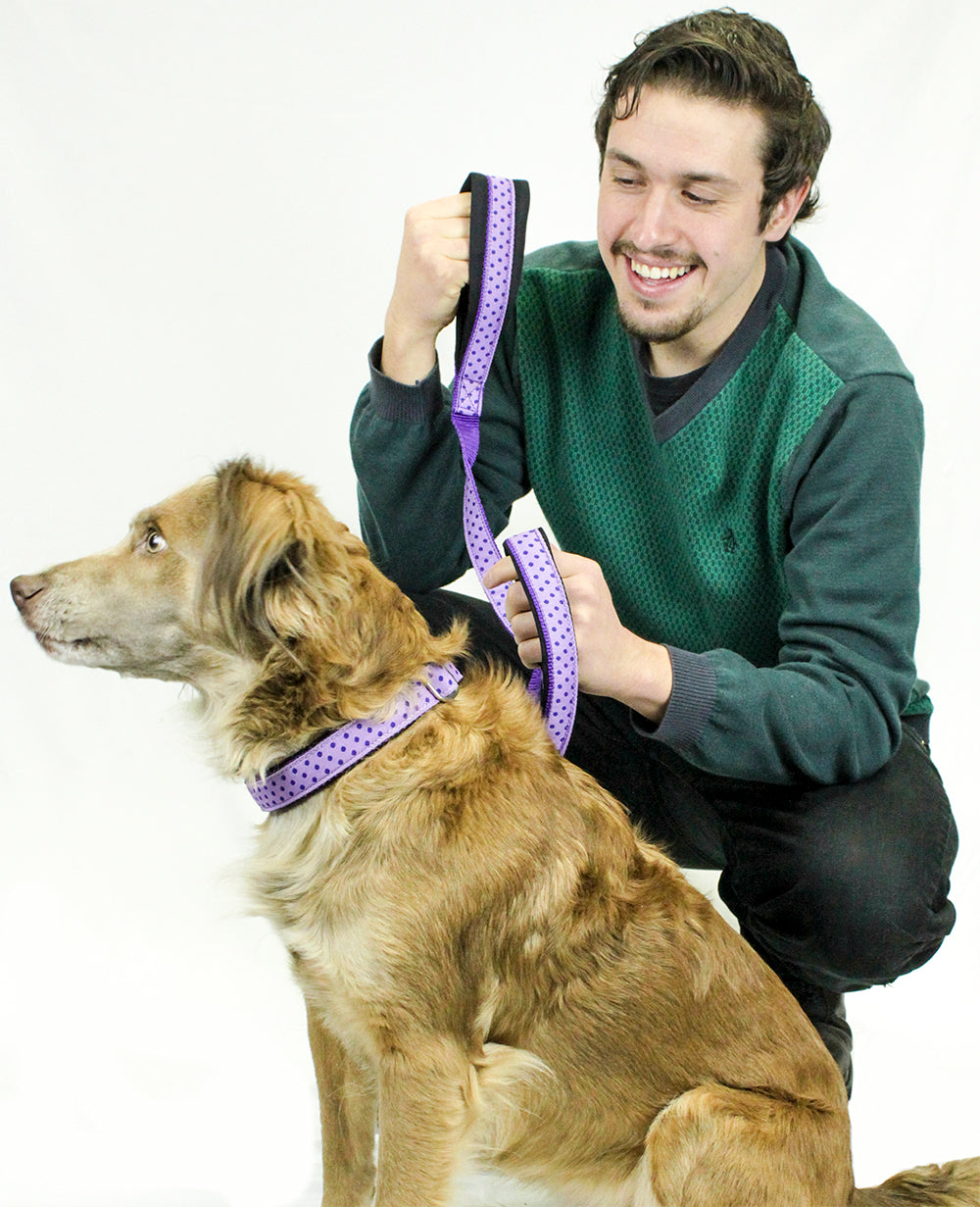Padded Adjustable Patterned Dog Collar