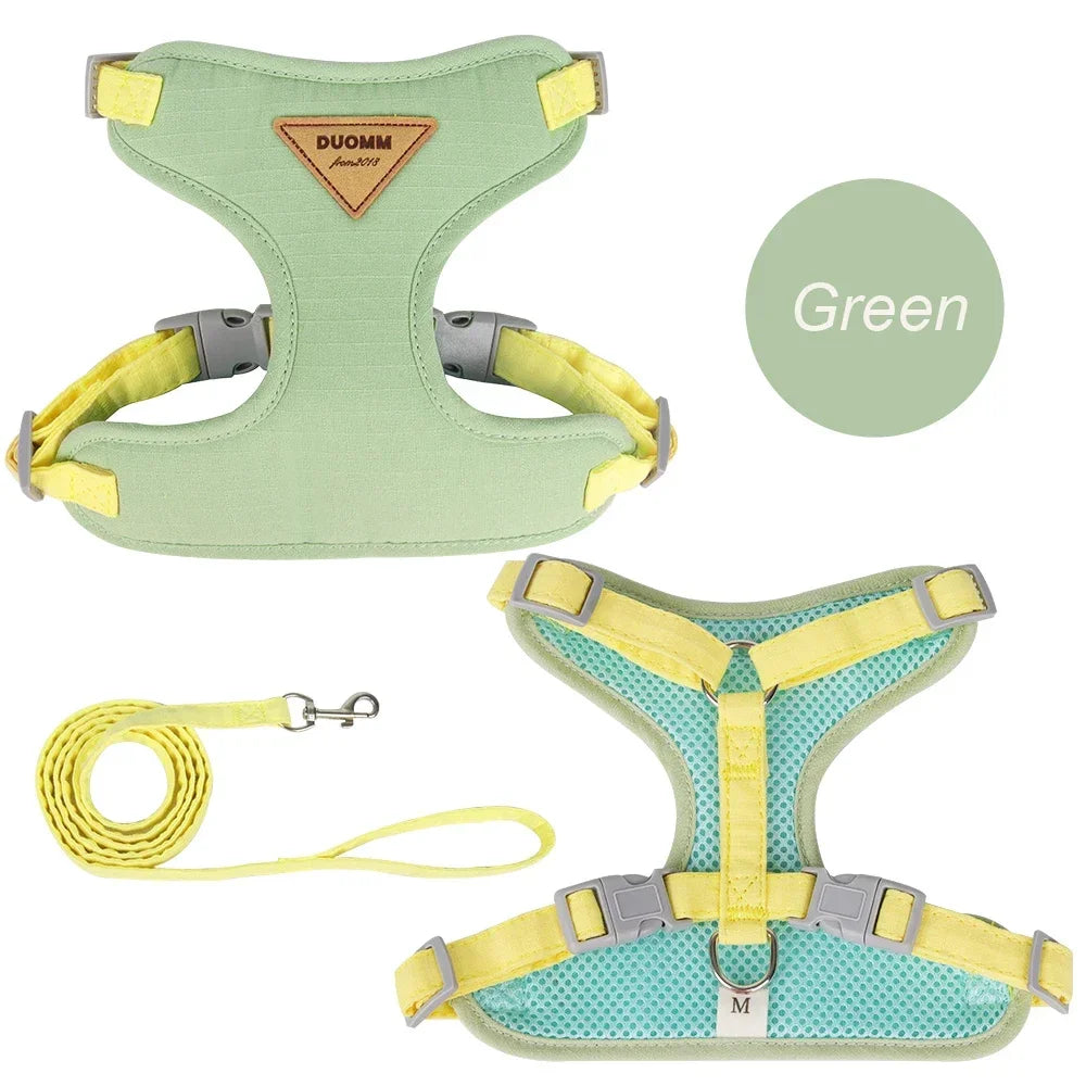 Walking Supplies Fashion Pet Harness and Leash Set for Small Dogs Cats