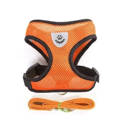 Breathable Mesh Cat Harness and Leash Set