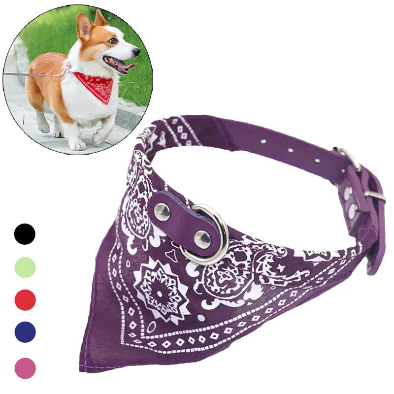 Adjustable Dog Cat Collar with Detachable Scarf